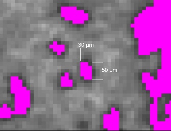Electrode Inspection - Defects