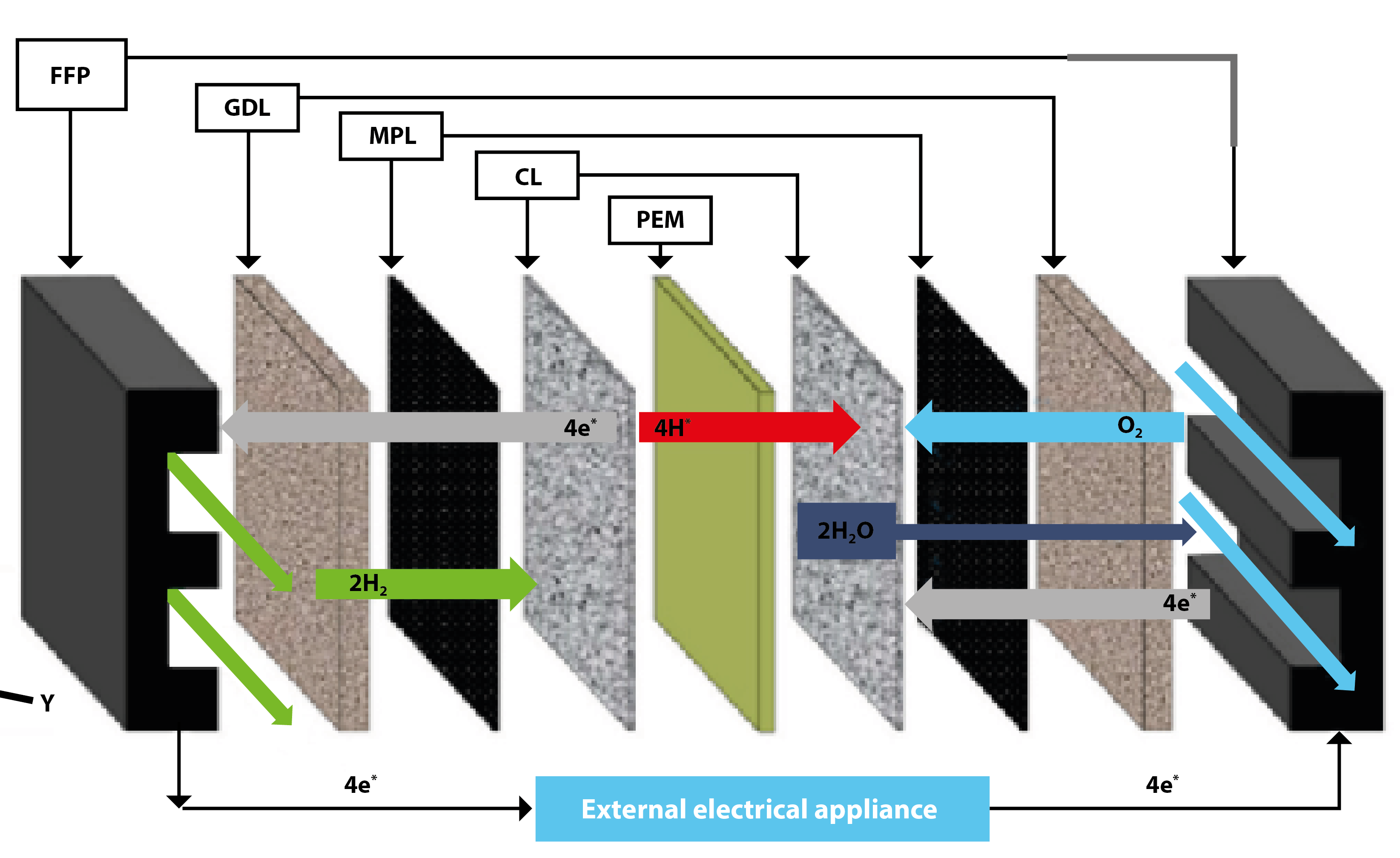 Fuel Cell Components