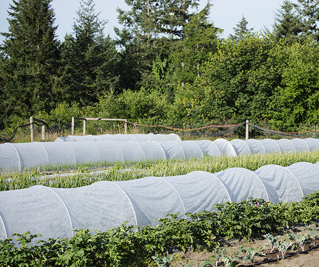 農業分野での不織布の利用