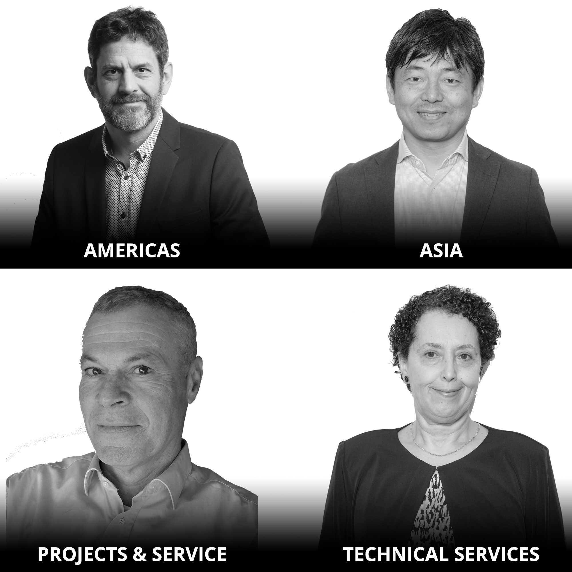 AMETEK Surface Vision - Enhanced Regional Support